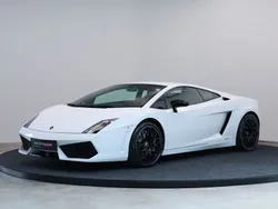 Weiß Gebraucht 2008 Lamborghini Gallardo | 115.000 € (Superpreis)