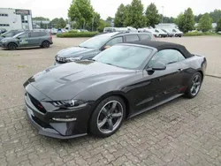 Andere Gebraucht 2024 Ford Mustang | 53.300 €