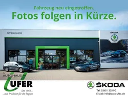 Grau Neu 2025 Skoda Karoq Tour SUV | 41.990 € (Etwas zu teuer)