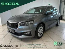 Grau Gebraucht 2024 Skoda Fabia Selection Kleinwagen | 20.299 € (Guter Preis)