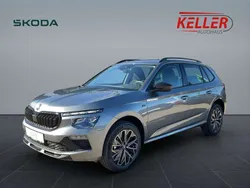 Graphitegrau metallic Neu 2025 Skoda Kamiq Tour SUV | 26.000 € (Etwas zu teuer)