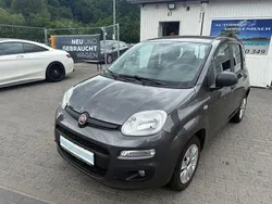 Grau Gebraucht 2016 Fiat Panda Easy Kleinwagen | 7.999 € (Fairer Preis)