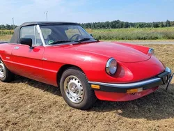 Rot Gebraucht 1987 Alfa Romeo Spider Cabrio | 12.000 €