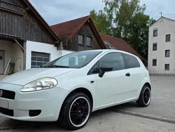 Weiß Gebraucht 2009 Fiat Punto Kleinwagen | 2.999 € (Etwas zu teuer)