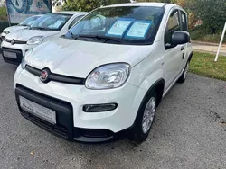 Weiß Neu 2024 Fiat Panda Kleinwagen | 15.490 € (Fairer Preis)