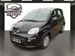 Schwarz Neu 2024 Fiat Panda Kleinwagen | 14.490 € (Fairer Preis)