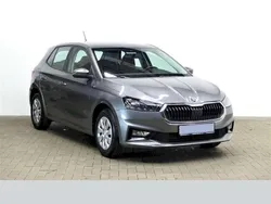 Grau Gebraucht 2024 Skoda Fabia Selection Kleinwagen | 17.790 € (Fairer Preis)