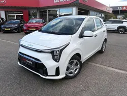 Weiß Neu 2025 Kia Picanto Edition 7 Kleinwagen | 14.449 € (Guter Preis)