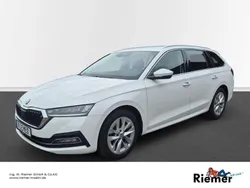 Weiss Gebraucht 2023 Skoda Octavia Style Kombi | 24.442 € (Fairer Preis)