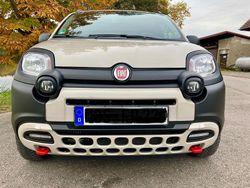 Beige Gebraucht 2024 Fiat Panda Kleinwagen | 19.480 €