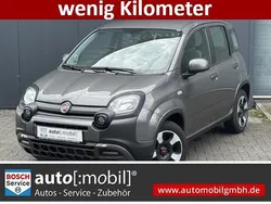 Colosseo grau) (grau Gebraucht 2023 Fiat Panda Cross Cross Kleinwagen | 12.480 € (Fairer Preis)