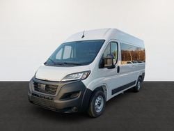 Weiß Gebraucht 2024 Fiat Ducato 33 Van | 41.000 € (Teuer)