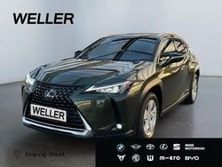 Gruen Gebraucht 2021 Lexus UX 250h SUV | 25.690 € (Fairer Preis)