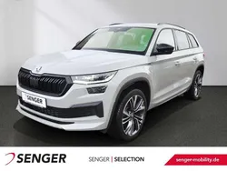 Stahlgrau Gebraucht 2023 Skoda Kodiaq SportLine SUV | 41.380 € (Fairer Preis)
