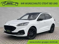 Frostweiß Gebraucht 2023 Ford Kuga ST-Line X SUV | 32.870 € (Etwas zu teuer)