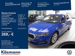 Energyblau Gebraucht 2023 Skoda Octavia Ambition Kombi | 23.830 € (Guter Preis)
