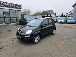 Schwarz Gebraucht 2012 Fiat Panda Lounge Kleinwagen | 5.290 € (Fairer Preis)