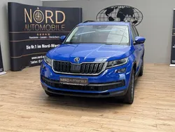 Energy blau Gebraucht 2020 Skoda Kodiaq SUV | 29.849 € (Etwas zu teuer)