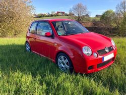 Rot Gebraucht 2001 VW Lupo GTI Kleinwagen | 5.200 €
