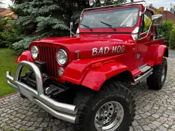 Rot Gebraucht 1991 Jeep Wrangler SUV | 29.900 €