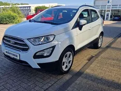 Frostweiß Gebraucht 2020 Ford Ecosport Cool & Connect SUV | 13.390 € (Fairer Preis)