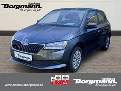 Grau Gebraucht 2021 Skoda Fabia Cool Plus Limousine | 11.880 € (Guter Preis)