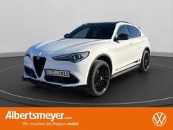 Andere farbe Gebraucht 2020 Alfa Romeo Stelvio Super SUV | 30.990 € (Etwas zu teuer)