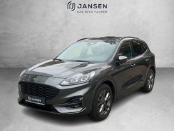 Grau Gebraucht 2021 Ford Kuga ST-Line SUV | 19.990 € (Teuer)