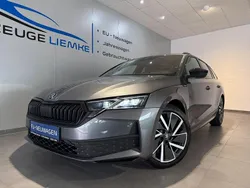 Grau Neu 2025 Skoda Octavia SportLine Kombi | 35.990 € (Etwas zu teuer)