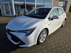 Weiß Gebraucht 2019 Toyota Corolla Business Edition Kleinwagen | 17.590 € (Guter Preis)