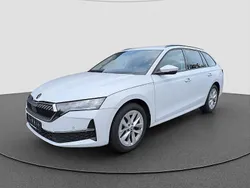 Weiss Gebraucht 2024 Skoda Octavia Selection Kombi | 31.549 € (Etwas zu teuer)