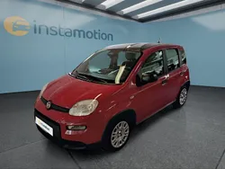 Rot Gebraucht 2024 Fiat Panda Kleinwagen | 14.999 € (Fairer Preis)