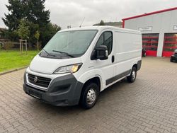 Weiß Gebraucht 2017 Fiat Ducato Van | 6.490 € (Etwas zu teuer)
