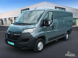 Tauben grau Gebraucht 2024 Opel Movano Van | 32.000 € (Fairer Preis)
