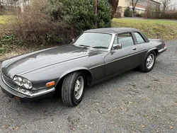 Grau Gebraucht 1988 Jaguar XJS Cabrio | 14.900 €