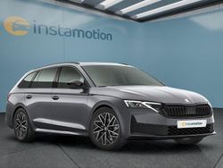 Grau Neu 2025 Skoda Octavia Kombi | 37.449 € (Etwas zu teuer)