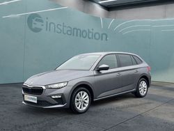 Grau Gebraucht 2024 Skoda Scala Selection Kleinwagen | 23.618 € (Etwas zu teuer)
