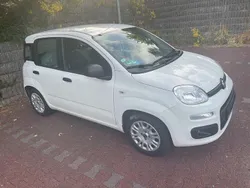 Gebraucht 2017 Fiat Panda Kleinwagen | 4.700 € (Superpreis)