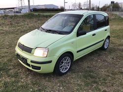 Easy listening gruen Gebraucht 2004 Fiat Panda Dynamic Kleinwagen | 499 € (Fairer Preis)