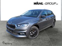 Grau Neu 2025 Skoda Fabia Selection Kleinwagen | 22.491 € (Fairer Preis)