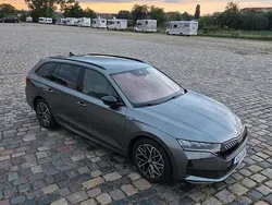 Grau Gebraucht 2024 Skoda Octavia SportLine Kombi | 30.999 € (Guter Preis)