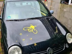 Schwarz Gebraucht 2002 VW Lupo Kleinwagen | 990 € (Fairer Preis)