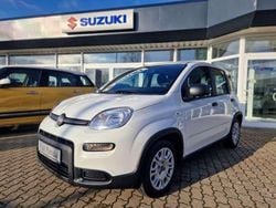 Weiß Gebraucht 2023 Fiat Panda Kleinwagen | 15.490 € (Teuer)