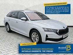 Moonweiß perleffekt Neu 2025 Skoda Octavia Selection Kombi | 30.850 € (Guter Preis)