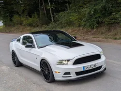 Weiß Gebraucht 2014 Ford Mustang Coupé | 16.800 € (Teuer)