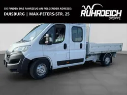 Casablanca weiss Neu 2024 Opel Movano Van | 41.990 €