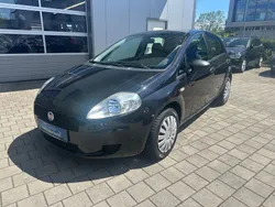 Schwarz Gebraucht 2013 Fiat Punto Kleinwagen | 2.900 € (Fairer Preis)