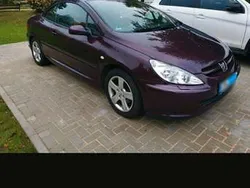 Violet Gebraucht 2004 Peugeot 307 CC Cabrio | 3.500 € (Etwas zu teuer)