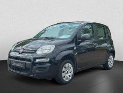 Schwarz Gebraucht 2015 Fiat Panda Kleinwagen | 7.990 € (Etwas zu teuer)