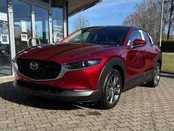 Andere Neu 2024 Mazda CX-30 Exclusive-Line SUV | 32.290 €